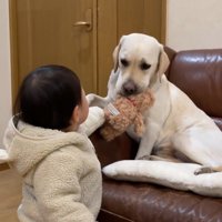 「ちょうだい」とぬいぐるみを掴んだら…