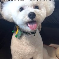 ママが撮ったポテトくん3