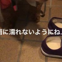 急に雨が降ってきて…