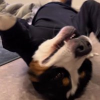 「納得してませんけど？」