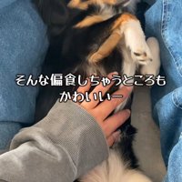 偏食は困るけれど可愛い♡