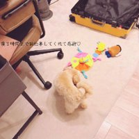 パパへの愛が止まらない！！