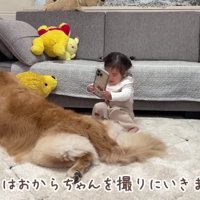 おからちゃんも撮らなきゃね