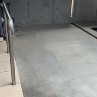 庭の塀に近づく飼い主