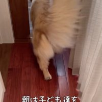 「朝ですよー！」