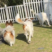 仲良し