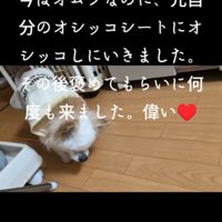 トイレまで歩いて行った