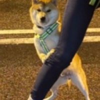 ばっちりカメラ目線でキメ顔♪