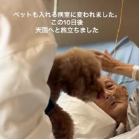 入院していたおじいちゃん