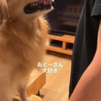 パパさんに甘えるモッシュくん2