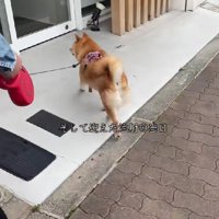 予定通り病院へ