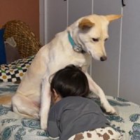 スノーちゃんに顔をうずめる息子さん3