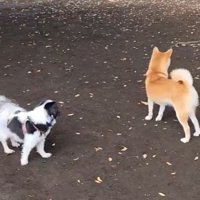 絶妙