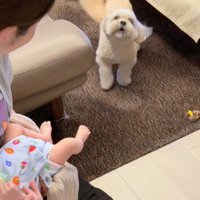 吠える犬2