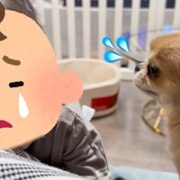 拗ねていた男の子ですが…