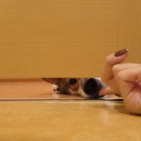 「まだ？早く出ておいでよ～」