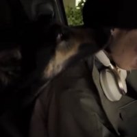 顔を寄せる犬と人