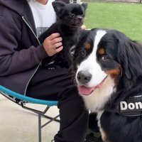 どんちゃんとジジくんのふれあい9