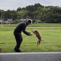 尊い