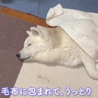 17歳のあいちゃん