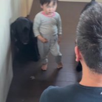 パパが男の子を叱ると…