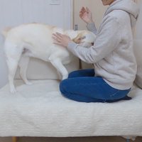 きなこちゃんとママさんの再会2