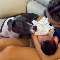 ママの近くでハリーくんを見守るゆめちゃん