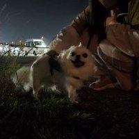 「ちゃんと見つけたよ！」