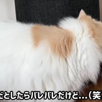 レモンさんは穴を覗き込んで…