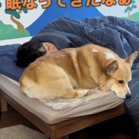 お兄ちゃんと二度寝…