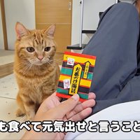 お見舞いのお茶漬けが！
