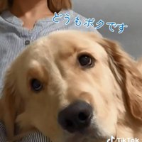 ドアップの麹くん