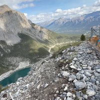 向かいにある山を眺める2頭の犬