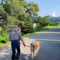 2人の歩調はいつもそろっています