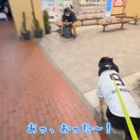 駅でパパさんを発見