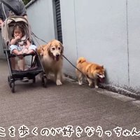 みんなでお散歩