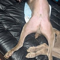 両手をバンザイ
