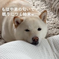 眠そうなカナちゃん
