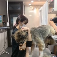 大嫌いな爪切りにも耐えてくれました