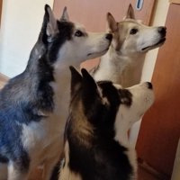 仲良く並んでオヤツ待ち♪