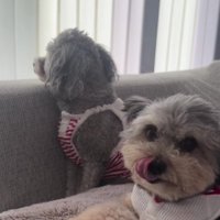 とっても優しい性格だとか