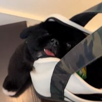疲れ果てて溶けている…！？