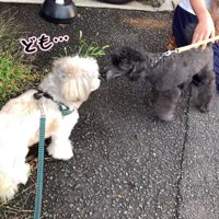 ご挨拶にきてくれたら…