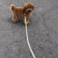 じっと目を瞑ってる…