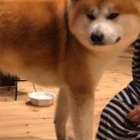 ストッキングを履かせたら…
