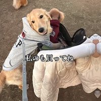大きさを自覚していない！？