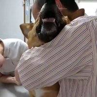 泣き叫ぶわんこ