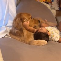 こむぎくんの顔をつかむ息子さん