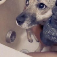 「本当に怖くない？」