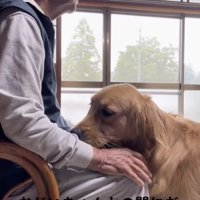 大好きなおじいちゃん